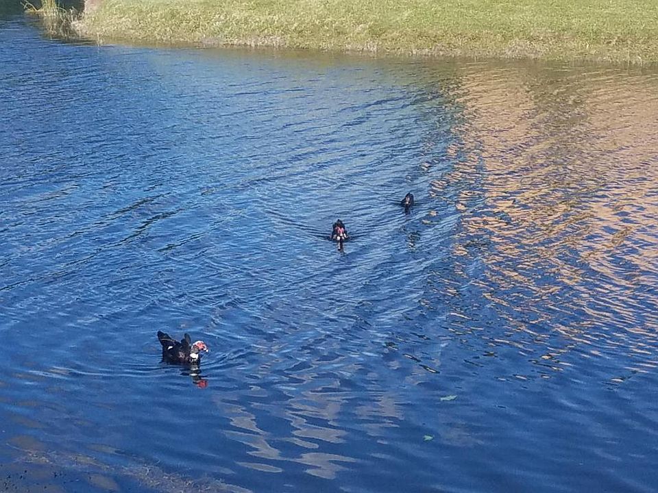 2nd image of 213 Lake Carol Dr