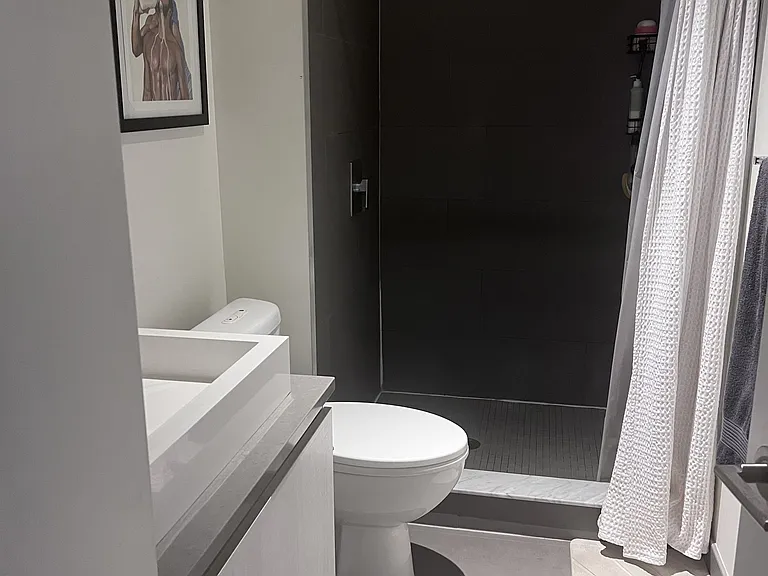 111 Bathurst St #403 — Photo 12