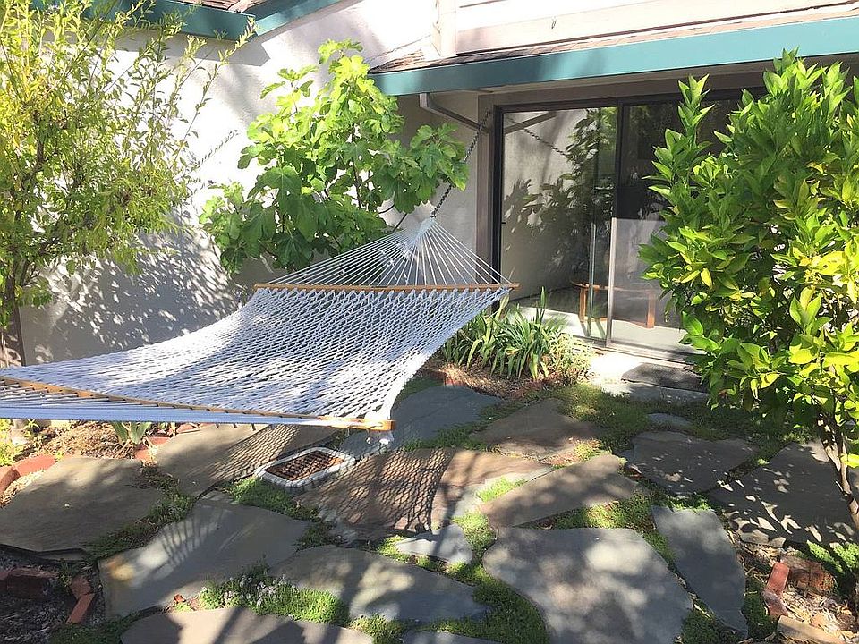 front garden- Springtime