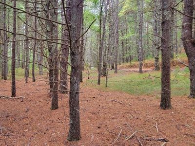 141 Bump Rock Rd, Plymouth, MA, 02360