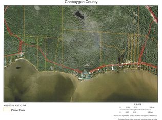 Miles Rd #223', Cheboygan, MI 49721