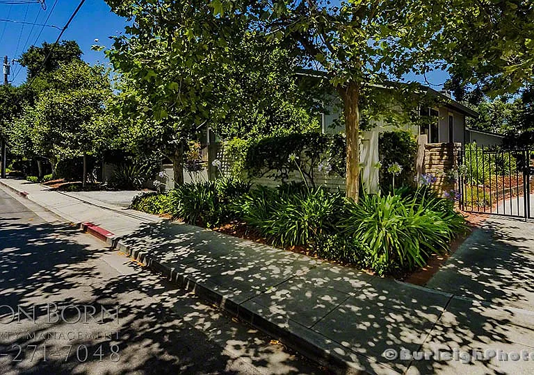 1150 Pine St #D — Photo 3