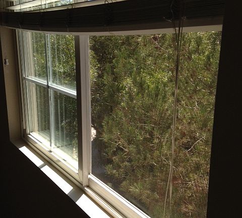 4th image of 10942 Evening Creek Dr E APT 110