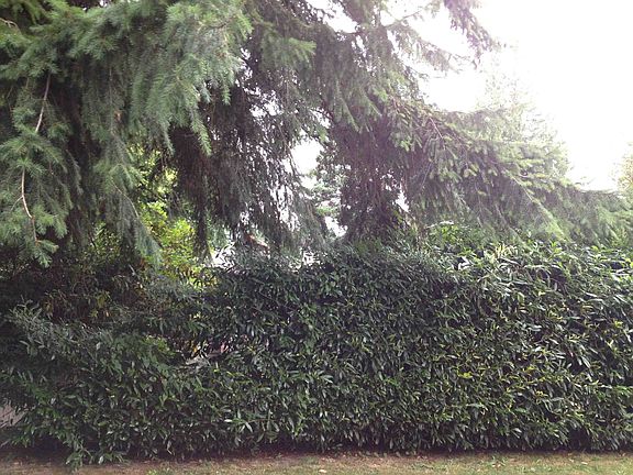 2nd image of 9025 25th Ave NE