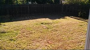 4th image of 7821 Shrader Cir