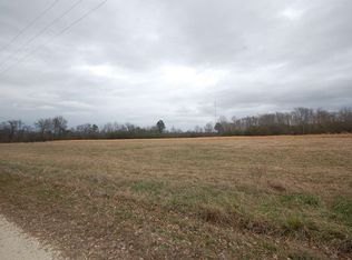 42 Nelson Ln, Denmark, TN 38391