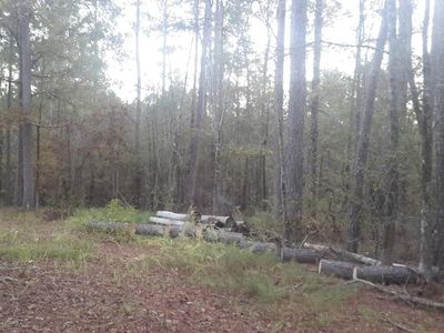 241 Deer Springs Rd, Clarks Hill, SC, 29821