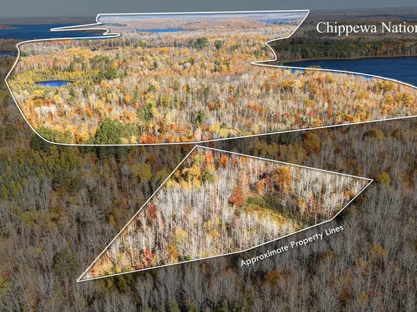 Wildernessa Rd, Deer River, MN 56636