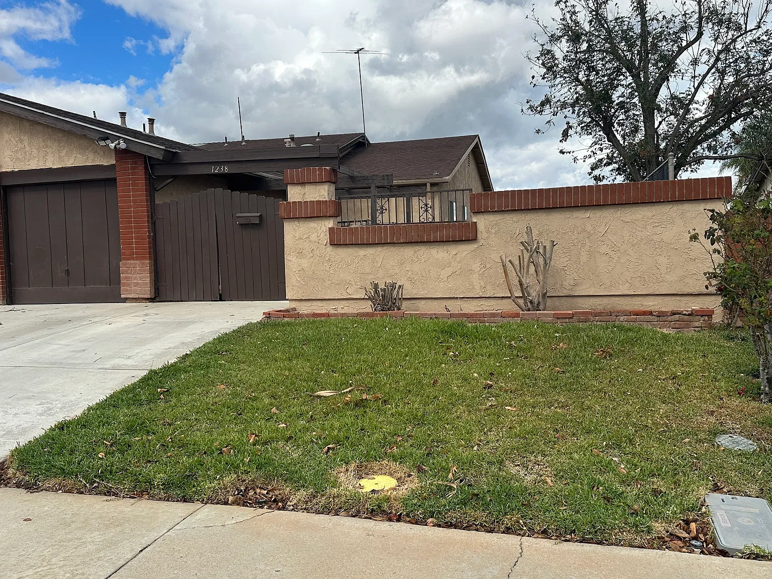 3 bed, 1.5 bath, 990 sqft, $2,980 — Photo 1
