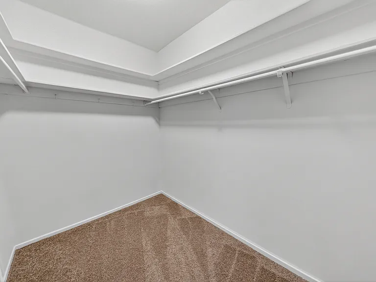 The Forest Apartments — Photo 8