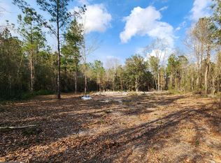 2976 Clarks Bluff Rd, Kingsland, GA 31548