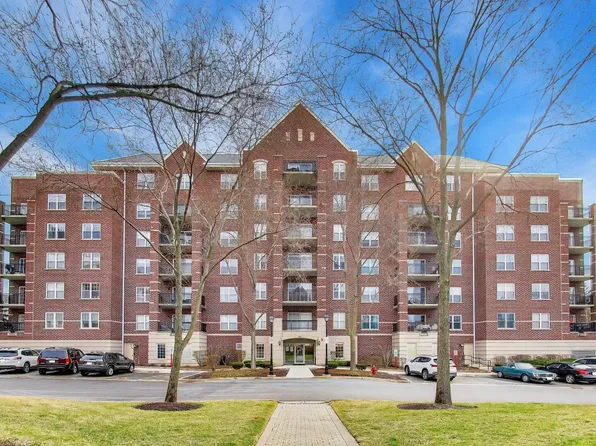 410 W Mahogany Ct Unit 305, Palatine, IL 60067