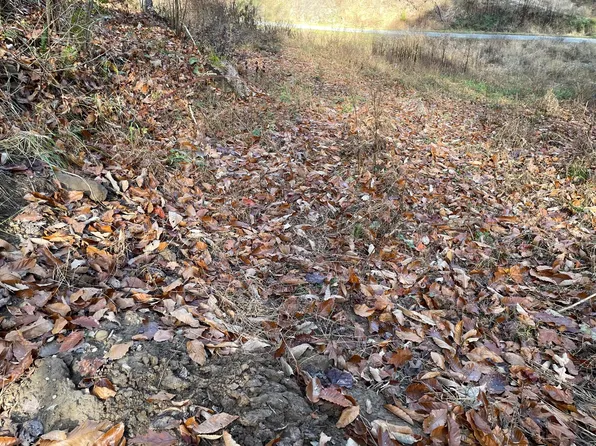 TRACT 9 Shelleys Rd, Bristol, VA 24202