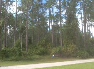55 Ebb Tide Dr, Palm Coast, FL 32164