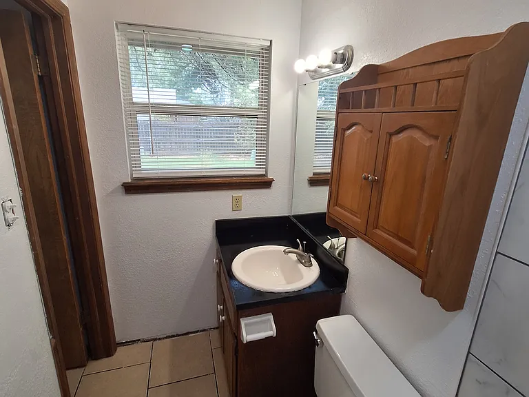 Master Toilet and Vanity