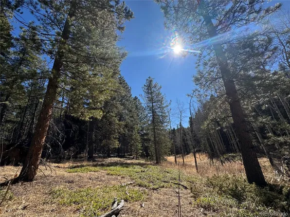 14 Wallace Ave, Conifer, CO 80433