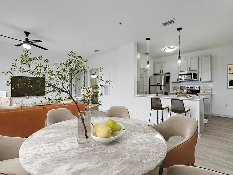 A1 U Interior Apartment