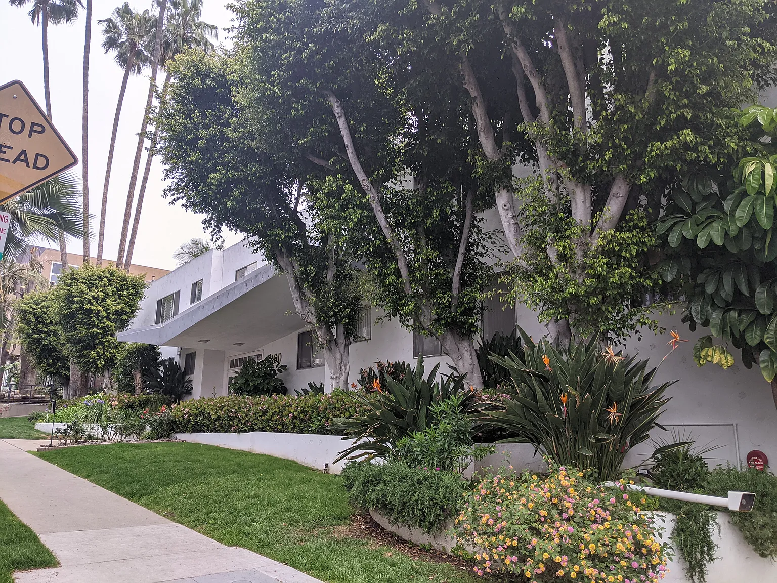 The Regent — Photo 2