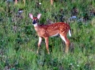 7540 Rodgers Rd, Corryton, TN 37721