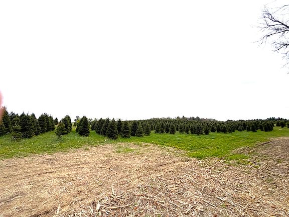 5th image of 60 acres S Pole Grove Road