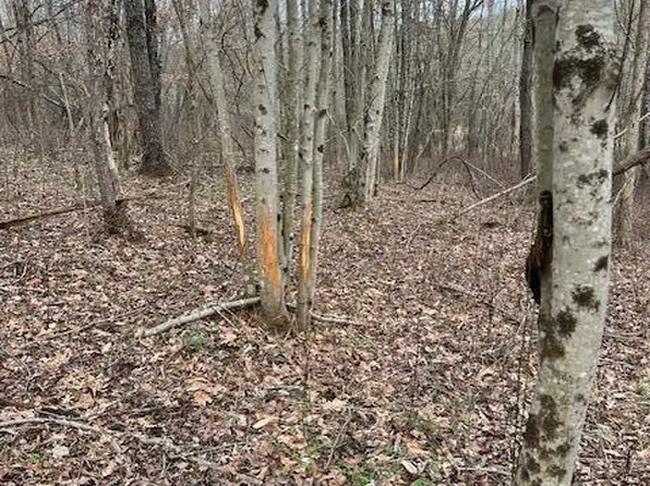 0 County Road 80, Coshocton, OH 43812