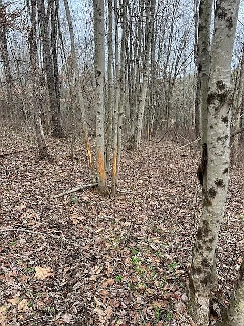 0 County Road 80 photo 1