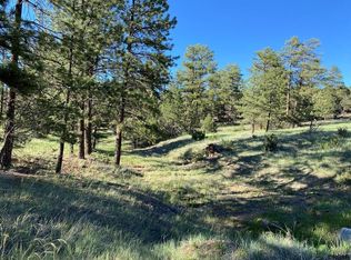 239 Wendy Dr, Cotopaxi, CO 81223