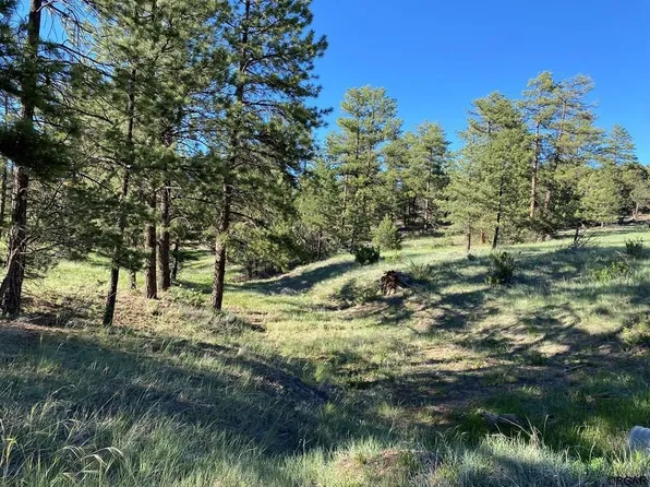 239 Wendy Dr, Cotopaxi, CO 81223