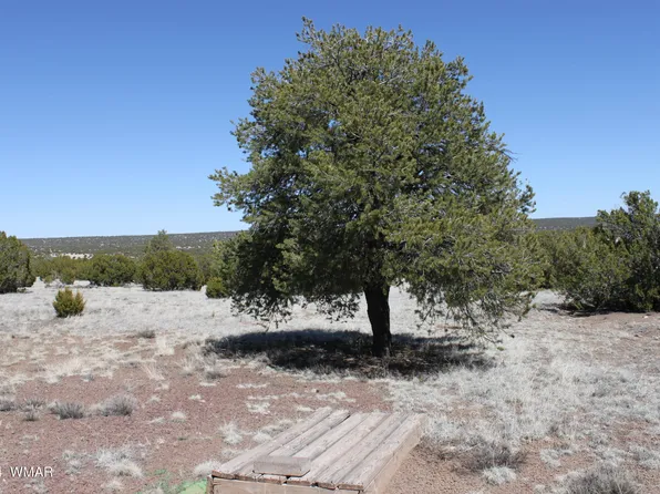 18 County Road 8190 N, Concho, AZ 85924