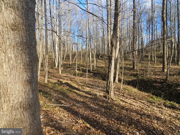 Cedar Ln, Boston, VA 22713