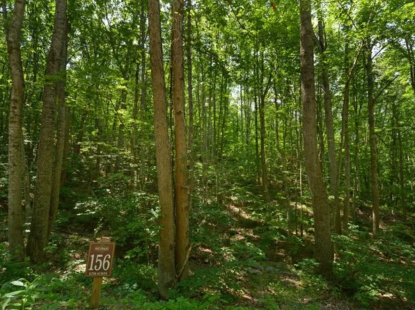 156 Falls Pkwy, Caldwell, WV 24925