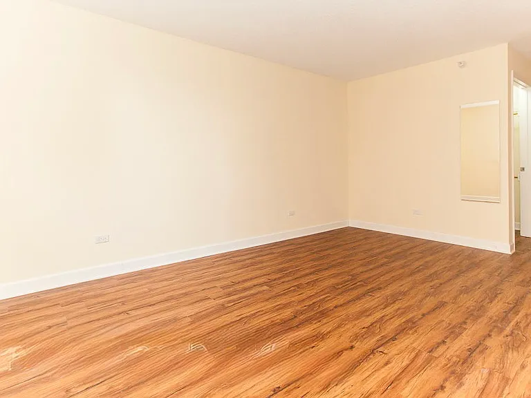 545 N Dearborn St #902 — Photo 9