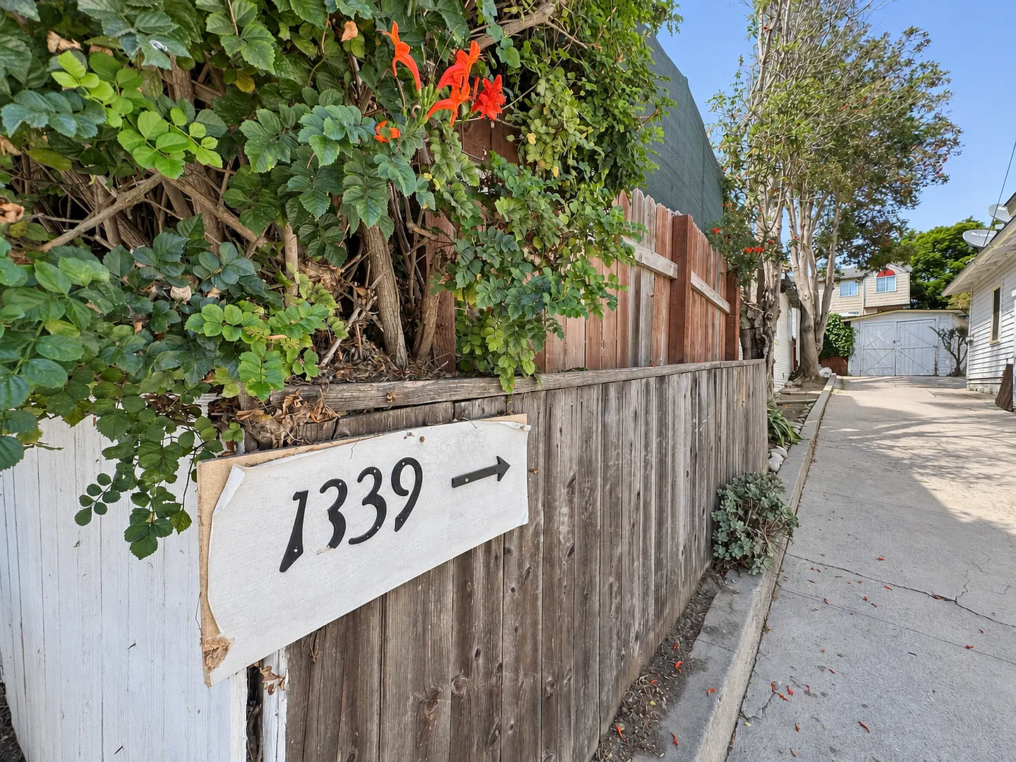 1337sant — Photo 2