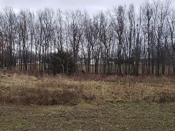 3rd image of 11066 Morningstar Ln