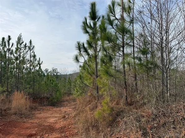 0 Valley Rd, Goodwater, AL 35072