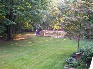 Garden view from back deck