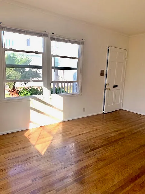 1 bed, 625 sqft, $1,795 — Photo 4