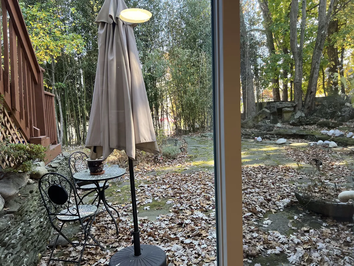 "The entrance to the premises is nestled beside a serene, chemical-free garden, providing a peaceful retreat. A cozy seating area with a small table and canopy offers the perfect spot to relax and enjoy the beauty of the autumn leaves in the organic home. - 65 Robinhood Ave