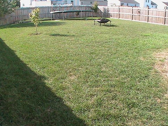 3rd image of 1217 Nutmeg Dr