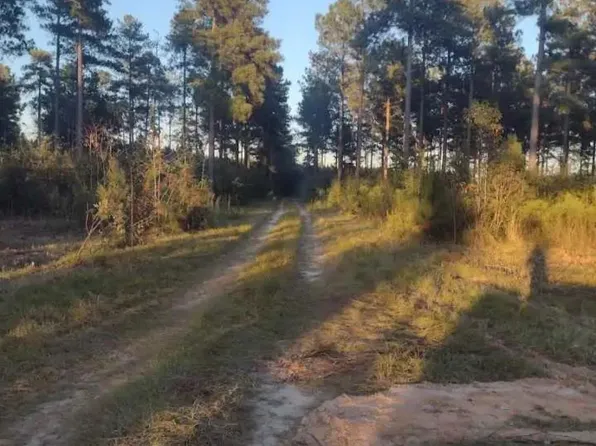 Poinsettia Rd, Wagener, SC 29164