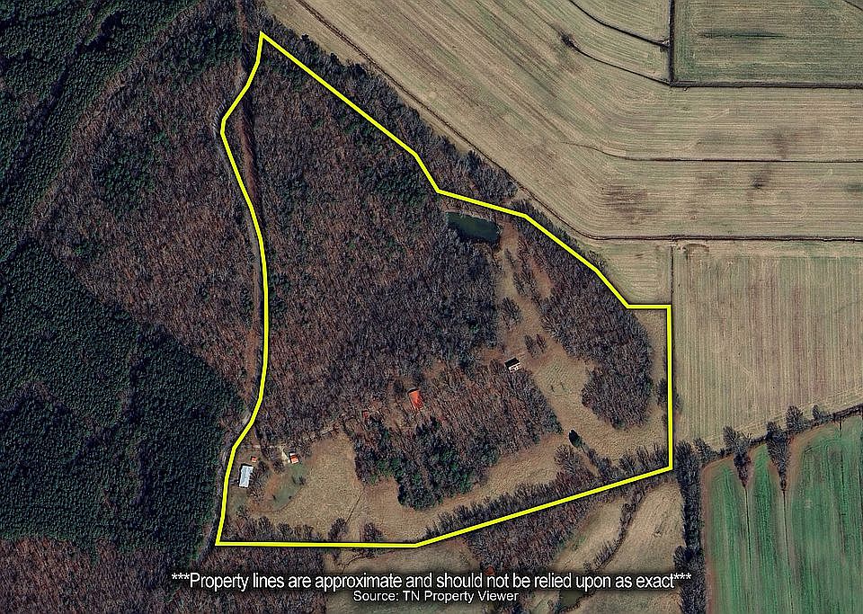 Property overview 