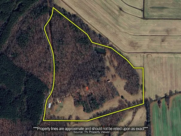 2855 Pine Knob Rd, Lexington, TN 38351