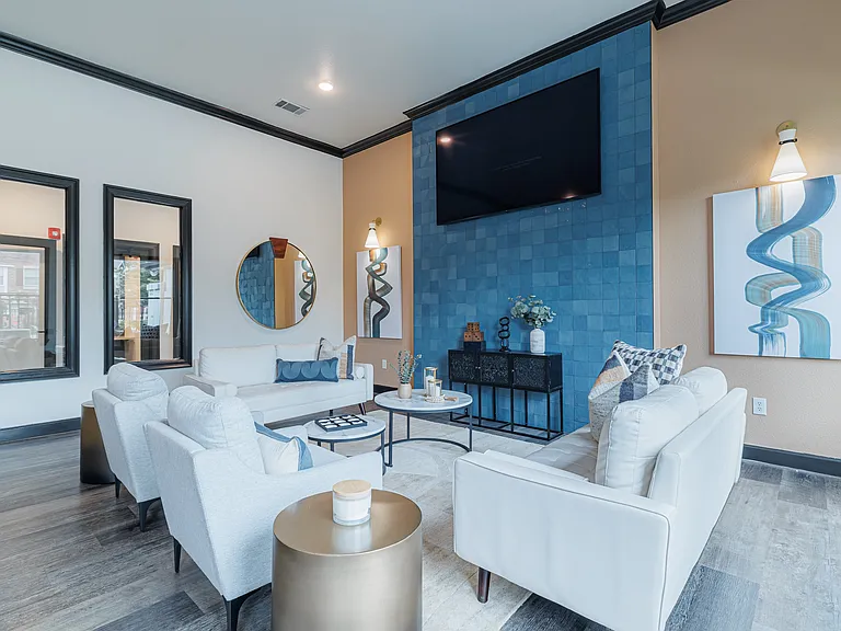 Clubhouse lounge area and television for resident social activity