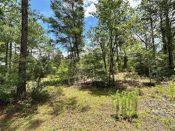 3rd image of NE 69th Pl Lot 1