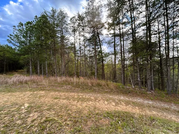 TRACT 3 SW Owl Hollow Rd, Mc Donald, TN 37353