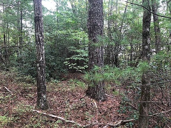 Typ. Interior @ top of lot