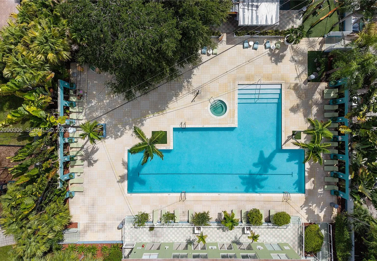 Sabal Palm Court — Photo 3