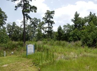 27802 Dewy Meadow Run Ct, Spring, TX 77386