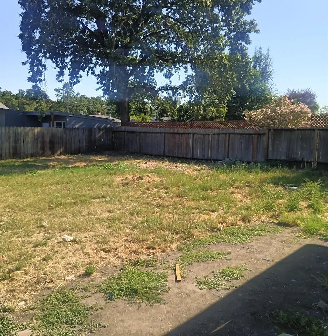 502 Leo Drive - Photo 7