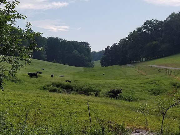 View from deck on back of home .